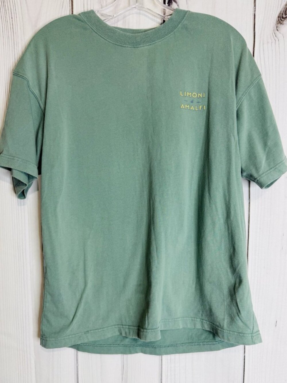 American Eagle Boxy Fit Graphic Tee Sz XS Limoni di Amalfi Green Short Sleeve